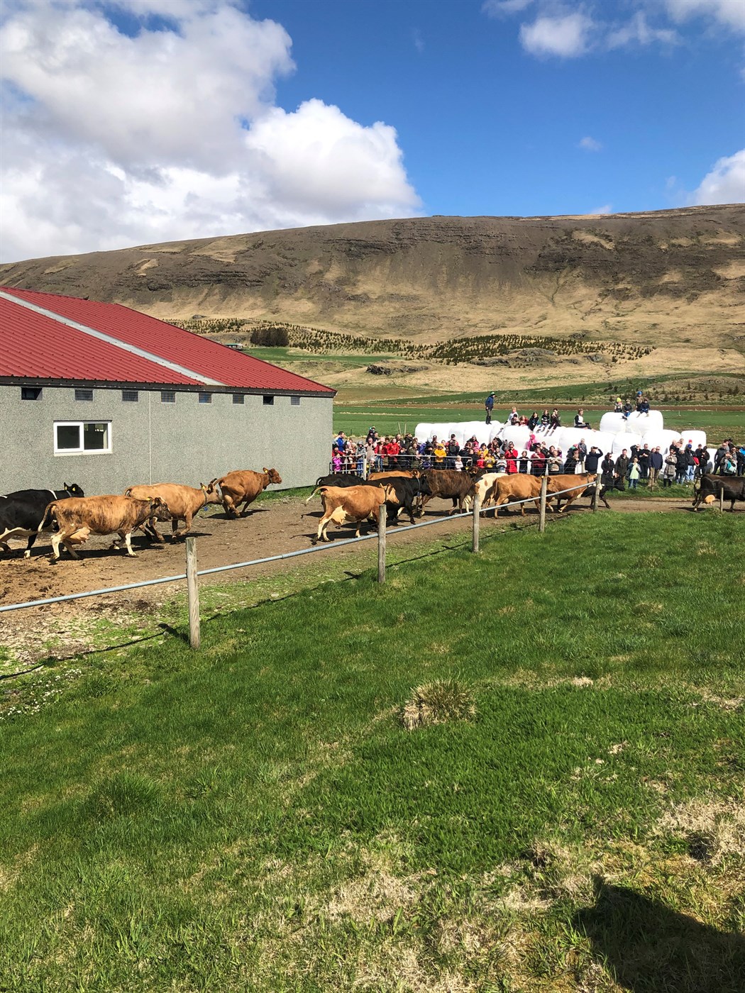 Horfum á sameiningu sem uppbyggjandi sóknaraðgerð en ekki vörn