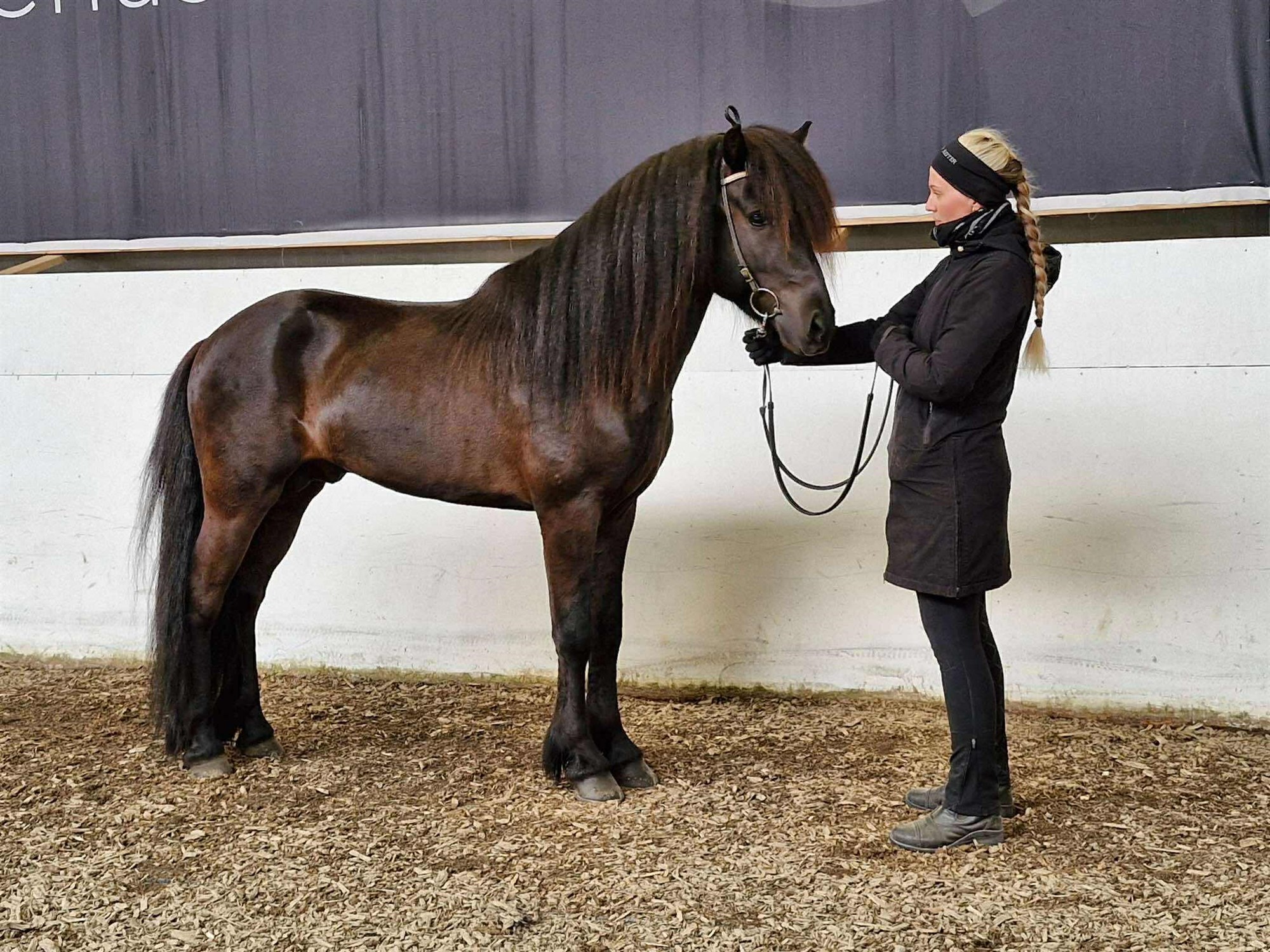 Einkunnamet slegin á vorsýningum