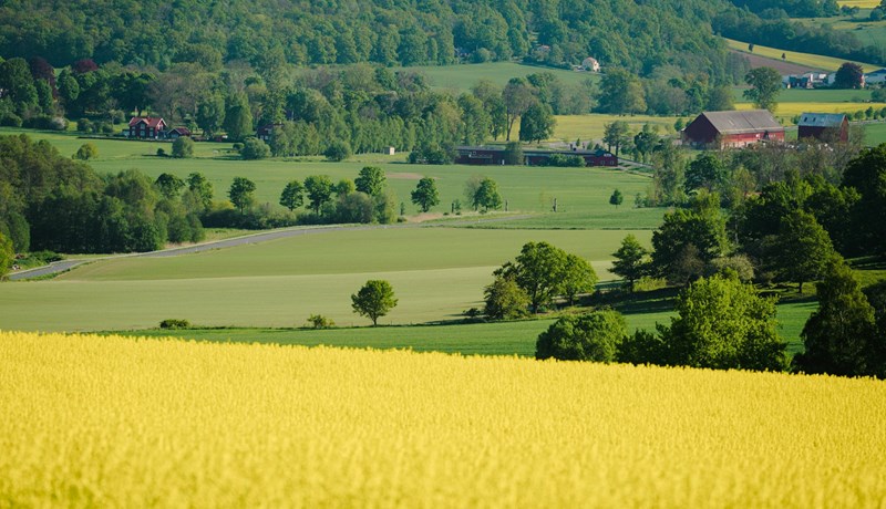 Andleg heilsa bænda kortlögð