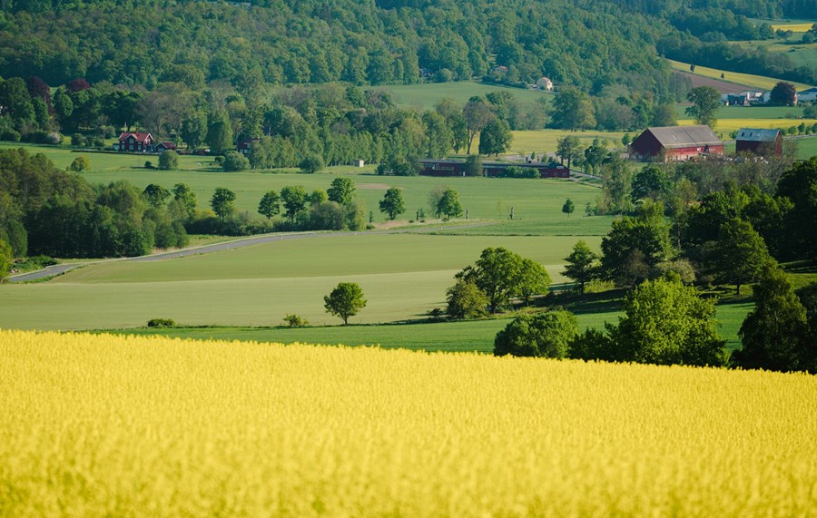 Andleg heilsa bænda kortlögð
