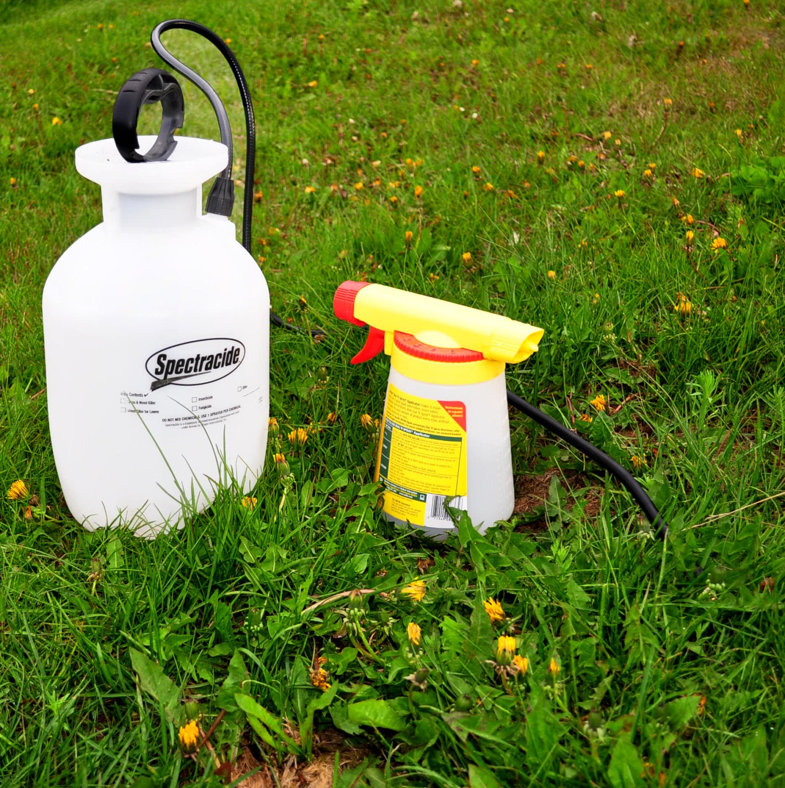 Ný reglugerð um plöntuverndarvörur