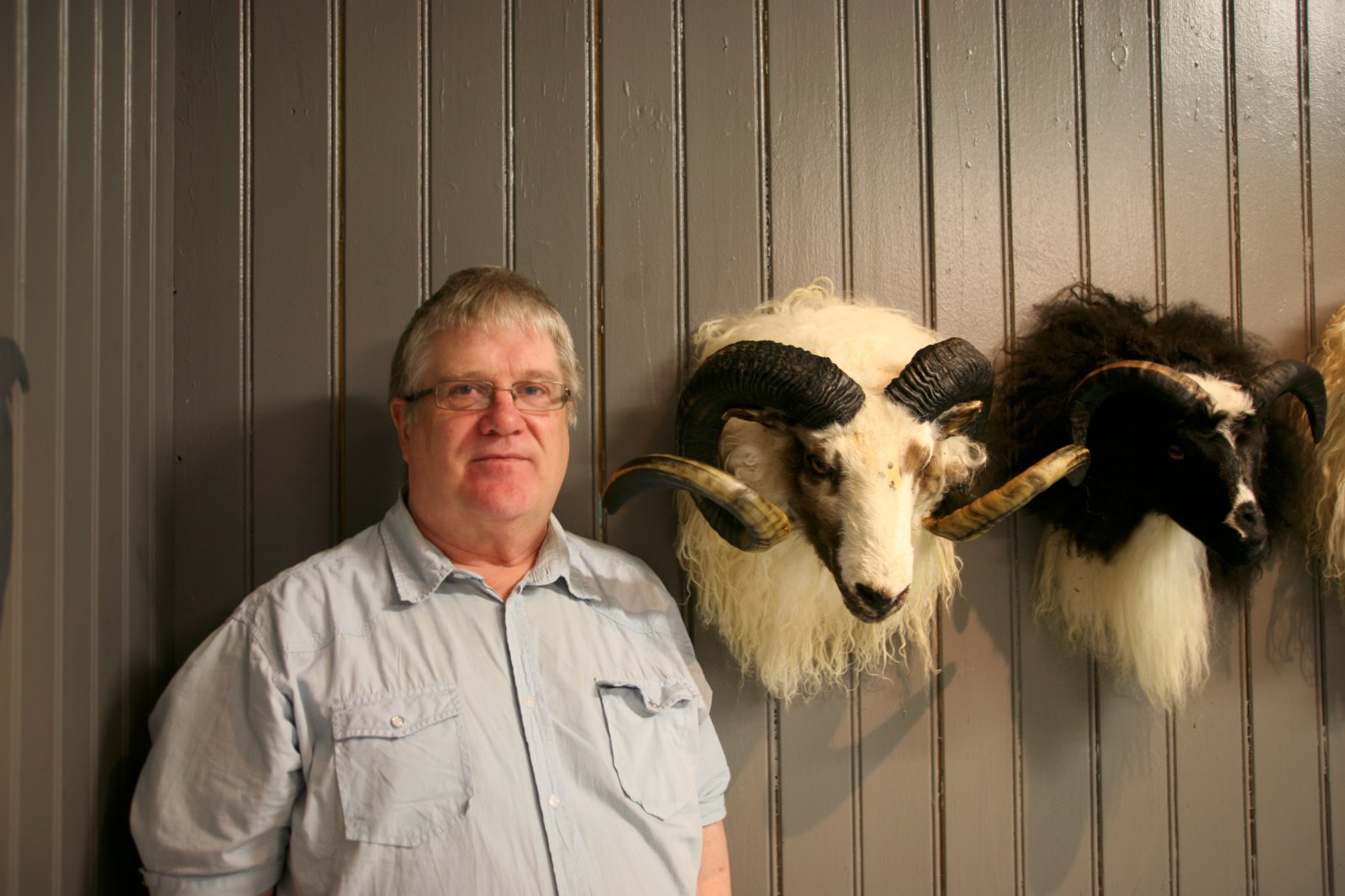 Fróðleikur tengdur forystufé