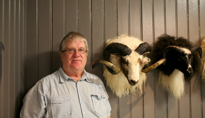 Fróðleikur tengdur forystufé