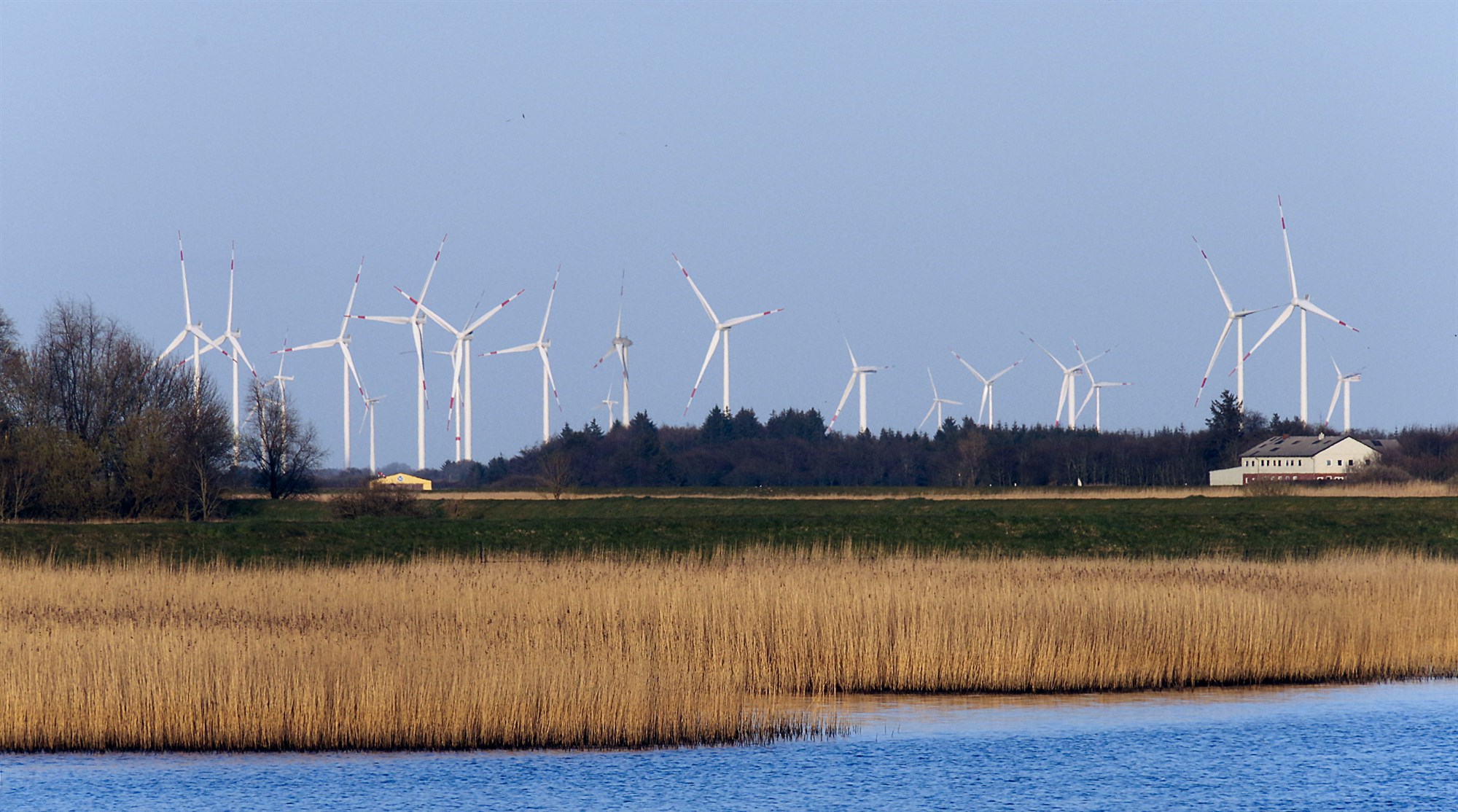 Dönskum vindorkuframleiðendum er borgað fyrir að stöðva vindmyllurnar