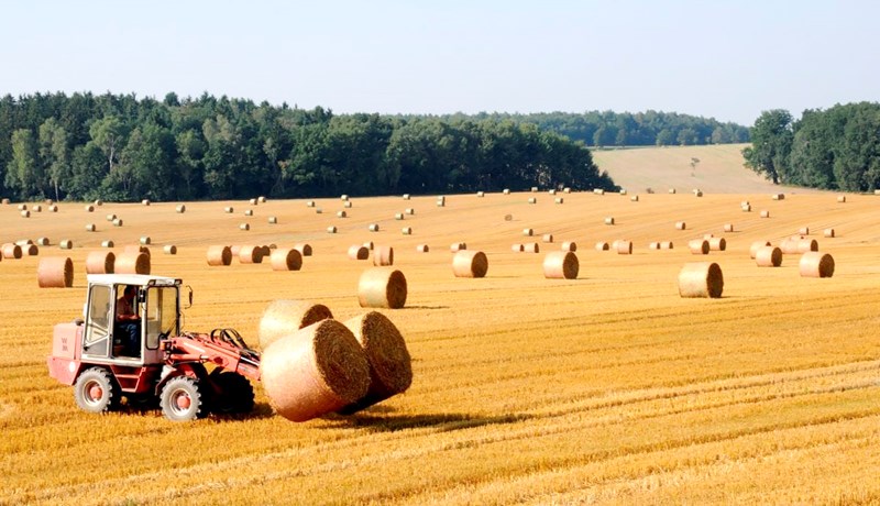 Almenningur telur að stjórnvöld ættu að setja skorður við jarðakaup erlendra aðila