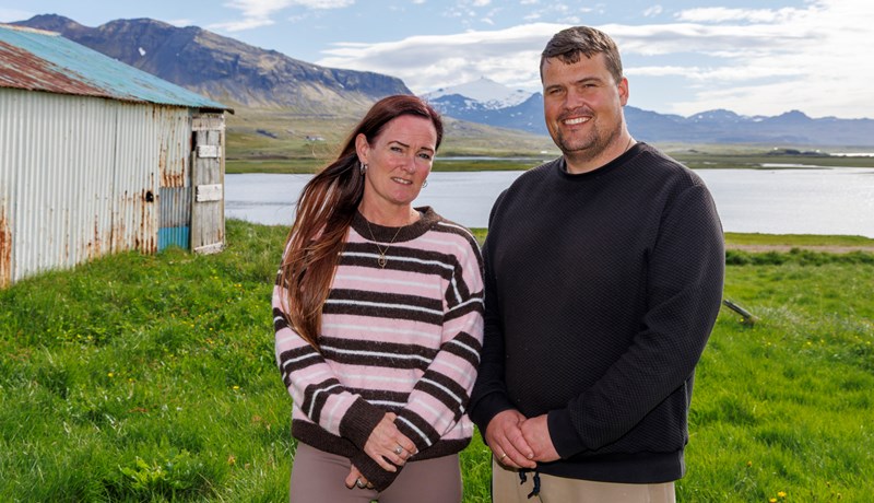 Með ástríðu fyrir kynbótum á sauðfé