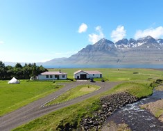 Áhugafólk um iðnaðarhamp streymir heim að bænum