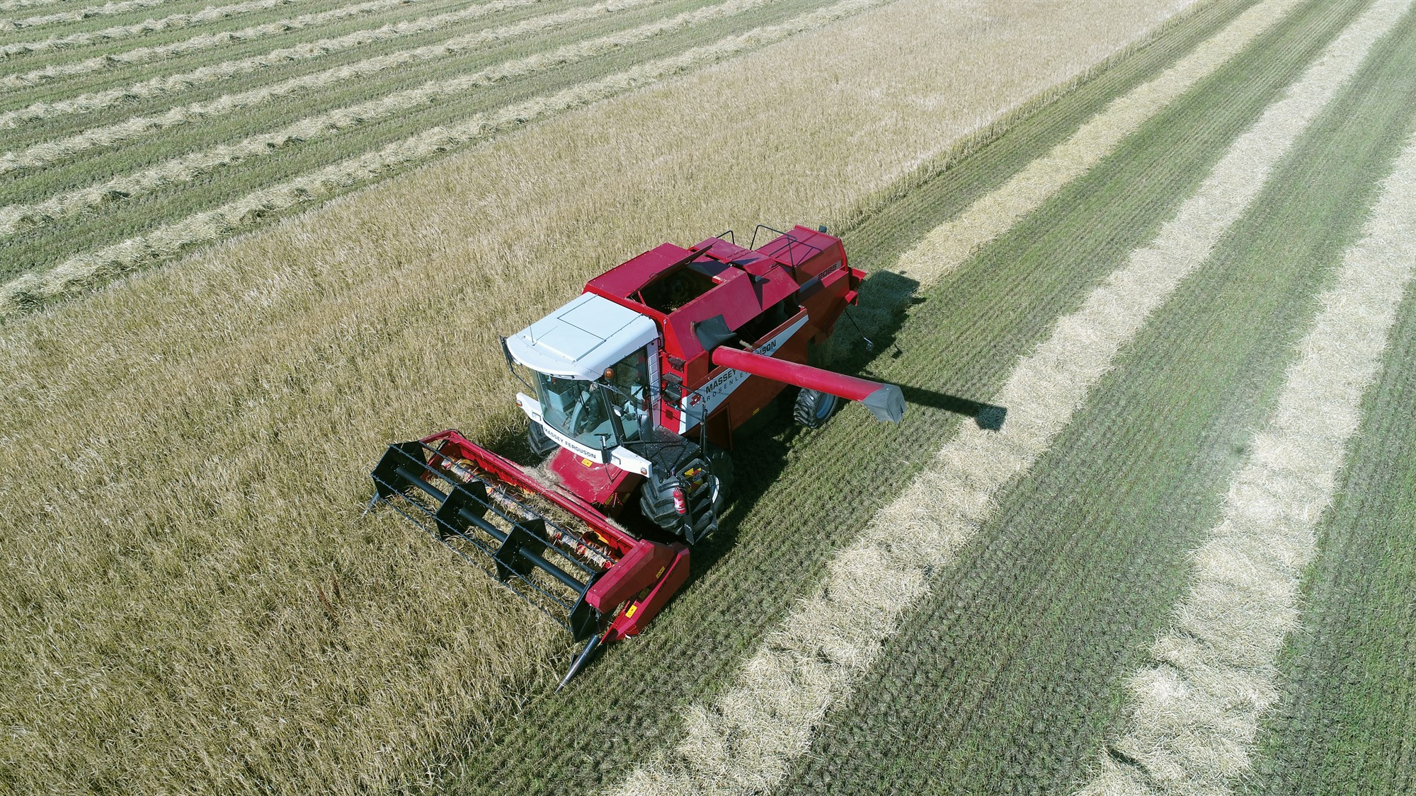 Góð uppskera í repju og byggi