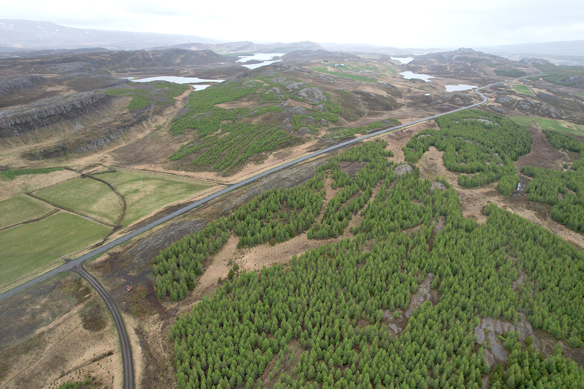 Megináherslur skógarbænda