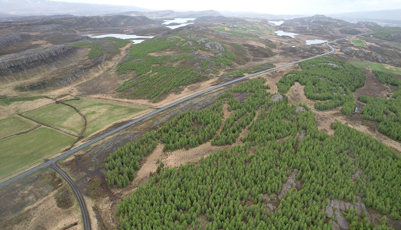 Megináherslur skógarbænda