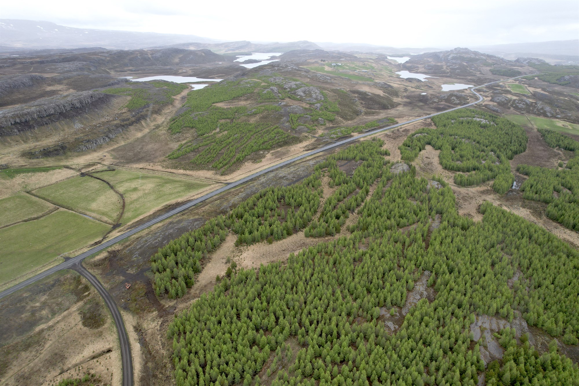 Sameining áþekkra landsstofnana