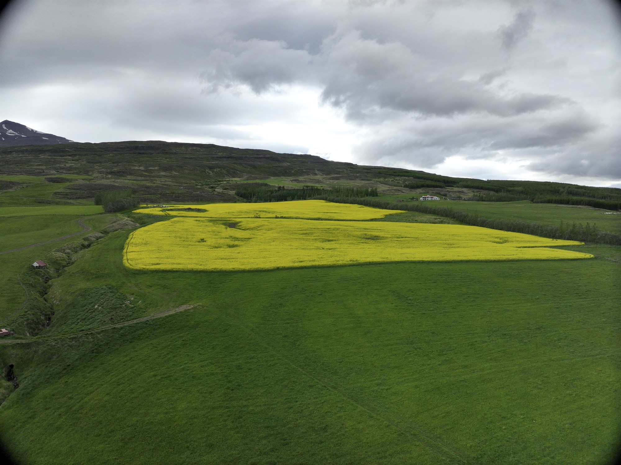 Vetrarnepjan mánuði fyrr á ferðinni
