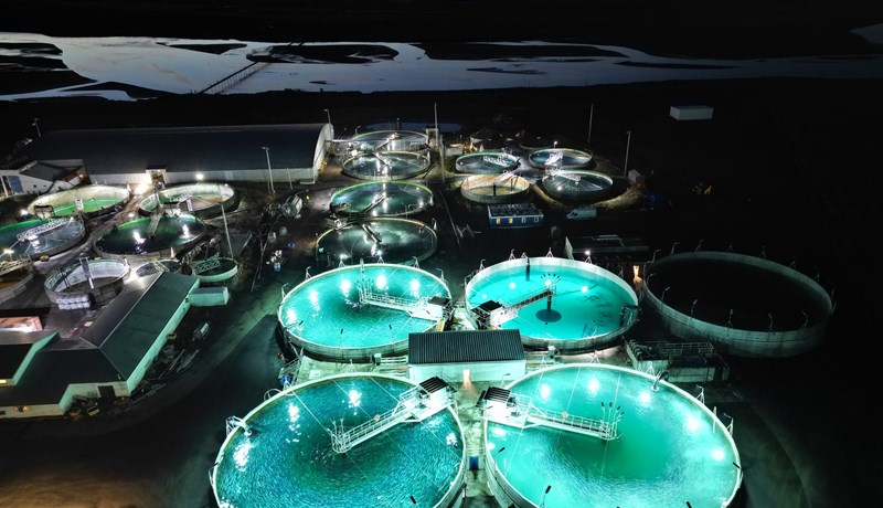 Landeldi vex fiskur um hrygg