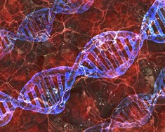 Skerpt á reglugerðum um erfðabreyttar lífverur