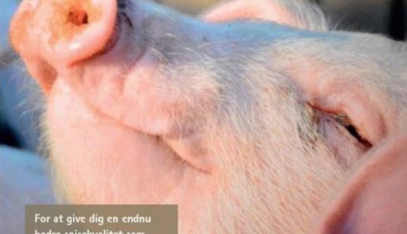 Svínakjötsskandall í Danmörku