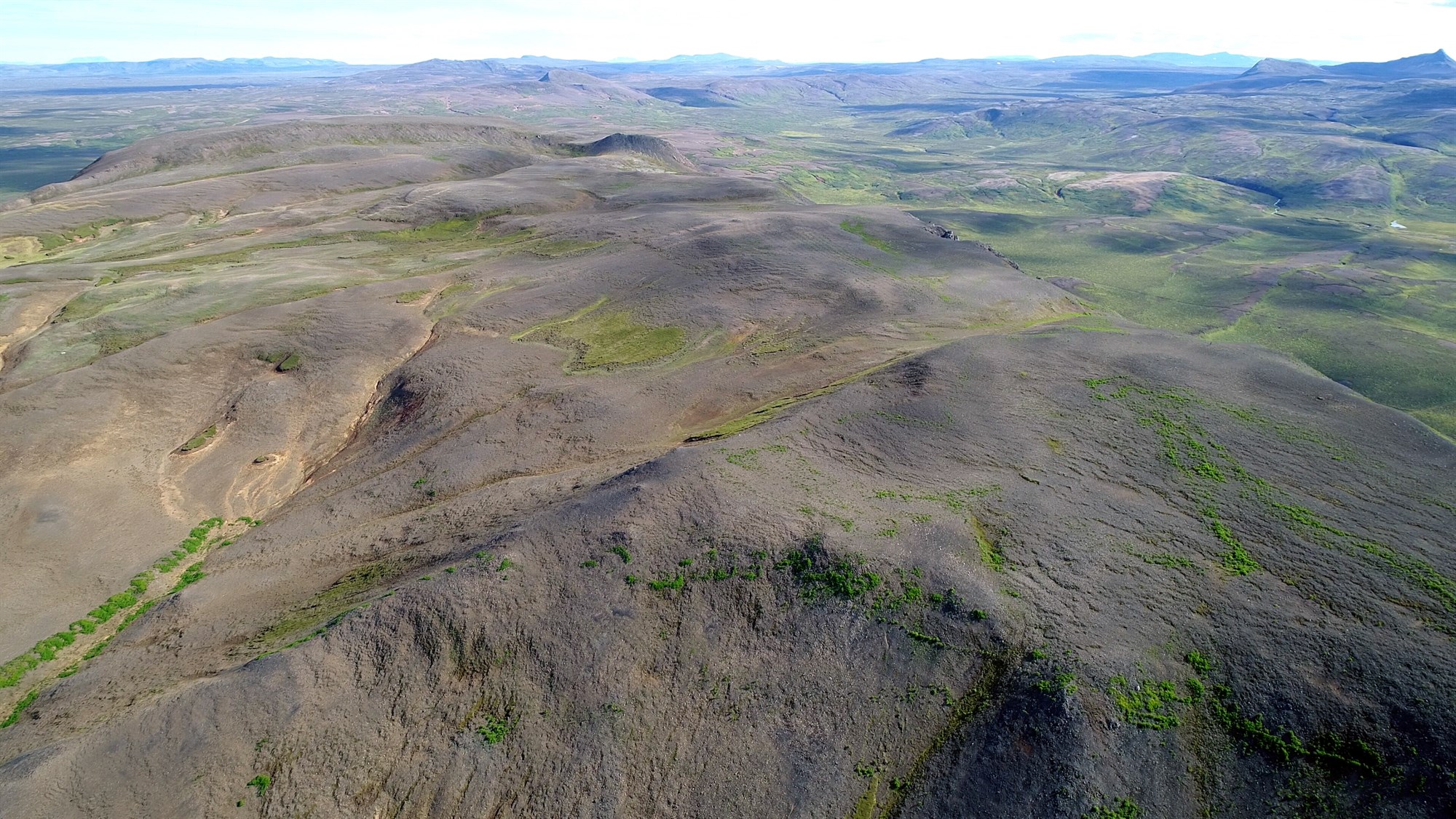 Lúpína er eina vonin á erfiðustu svæðunum