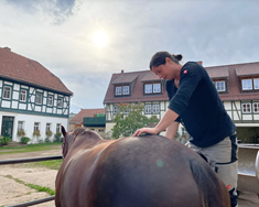 Vinnustofa í hestaheilsu