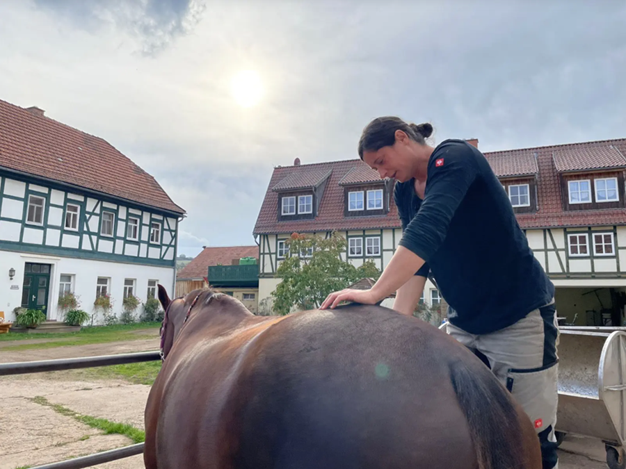Dr. Jenny Hagen, einn fremsti sérfræðingur Evrópu á sviði lífhreyfifræði, stoðkerfisfræða og endurhæfingar hesta, við störf. Hún verður með vinnustofu á Íslandi í vor.