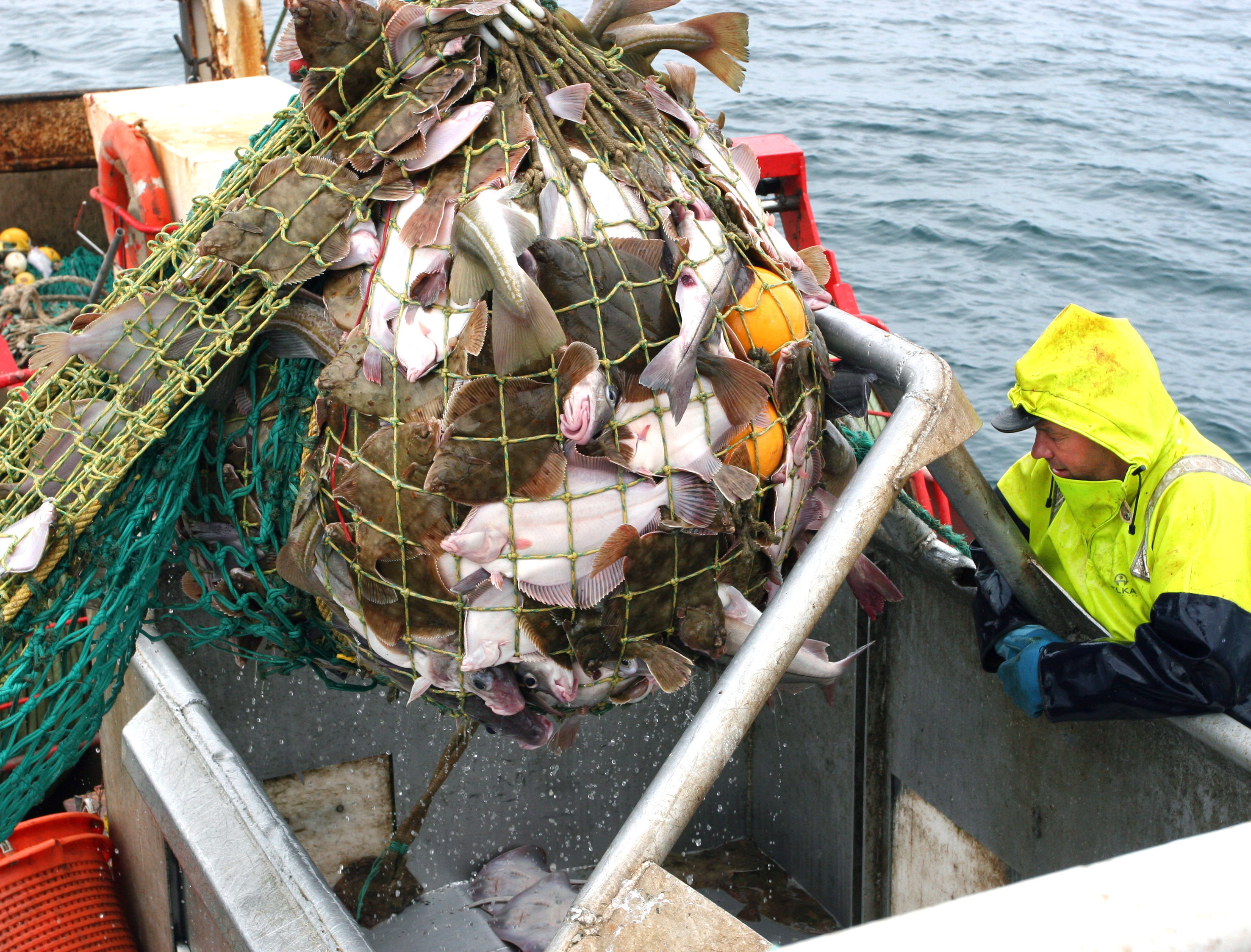 Kolinn skilaði 2,7 milljörðum í aflaverðmæti á síðasta ári
