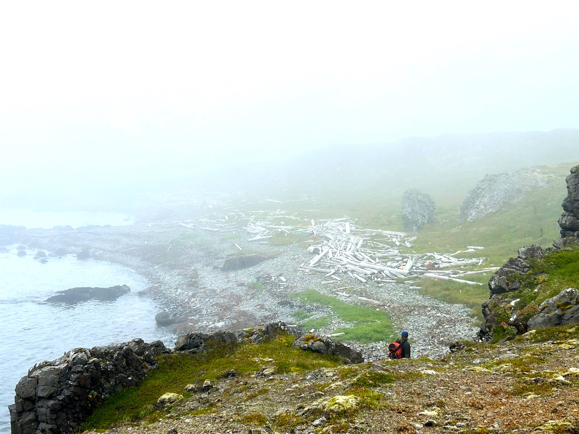 Snarminnkandi reki við Íslandsstrendur