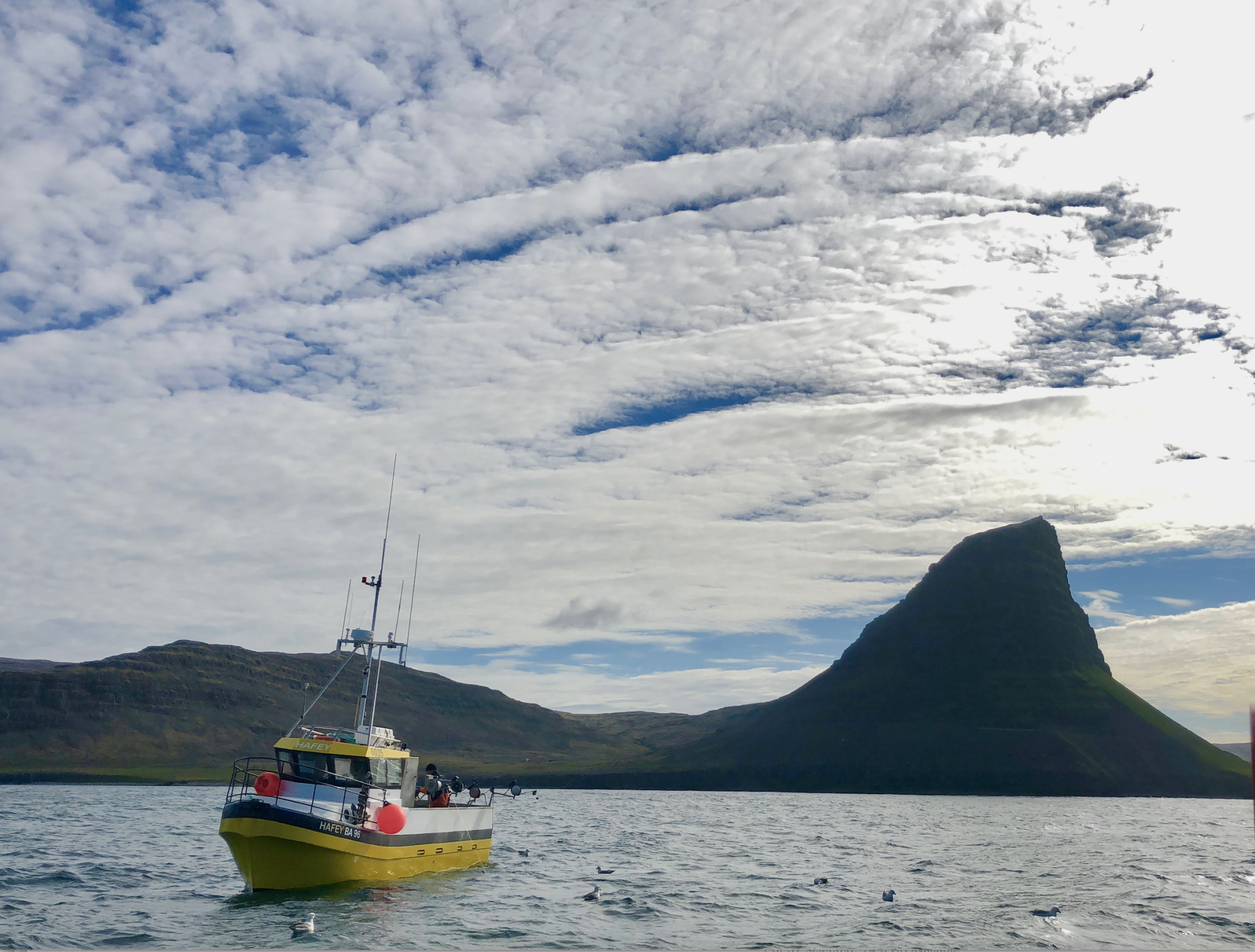 Að nefna snöru í hengds manns húsi