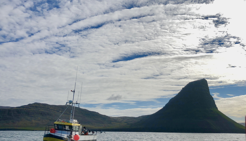 Að nefna snöru í hengds manns húsi