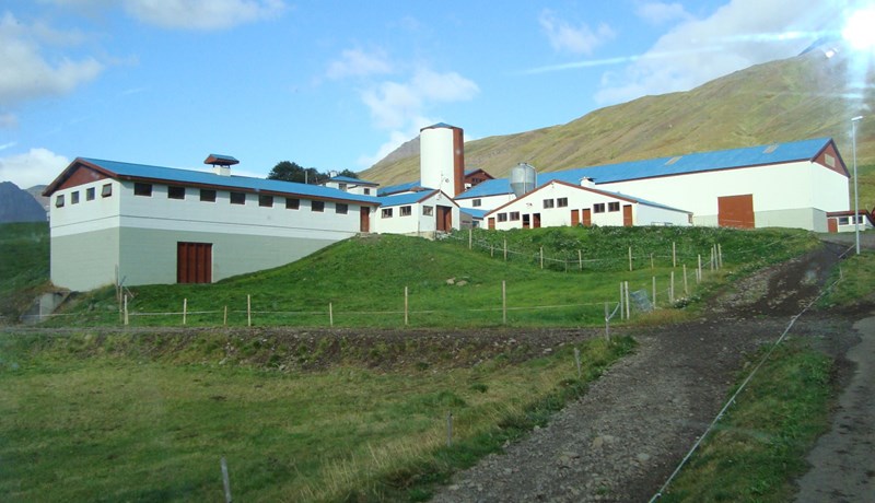 Mjaltaþjónabóndinn