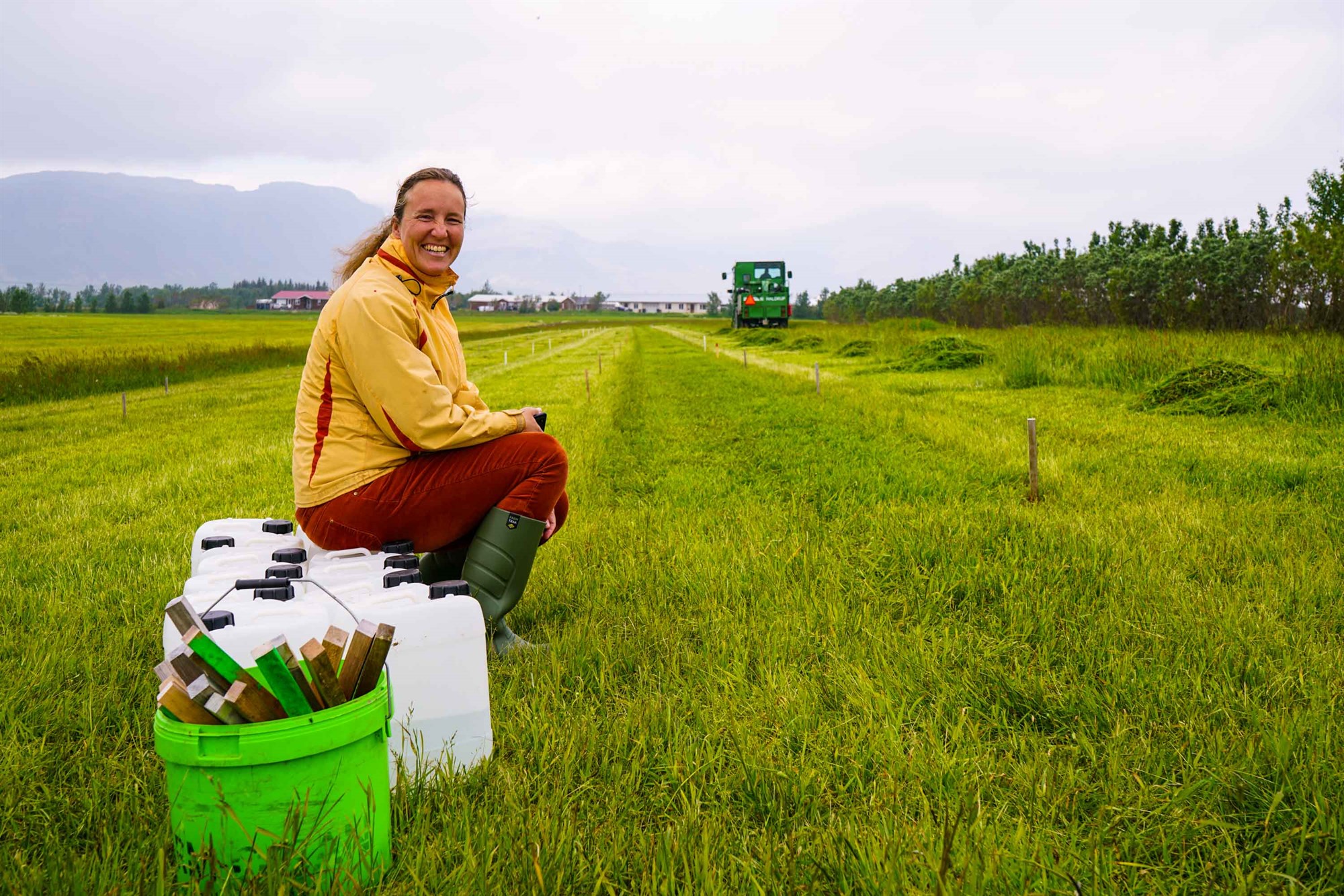 Kúamykja kemur best út í samanburði við annan lífrænan áburð