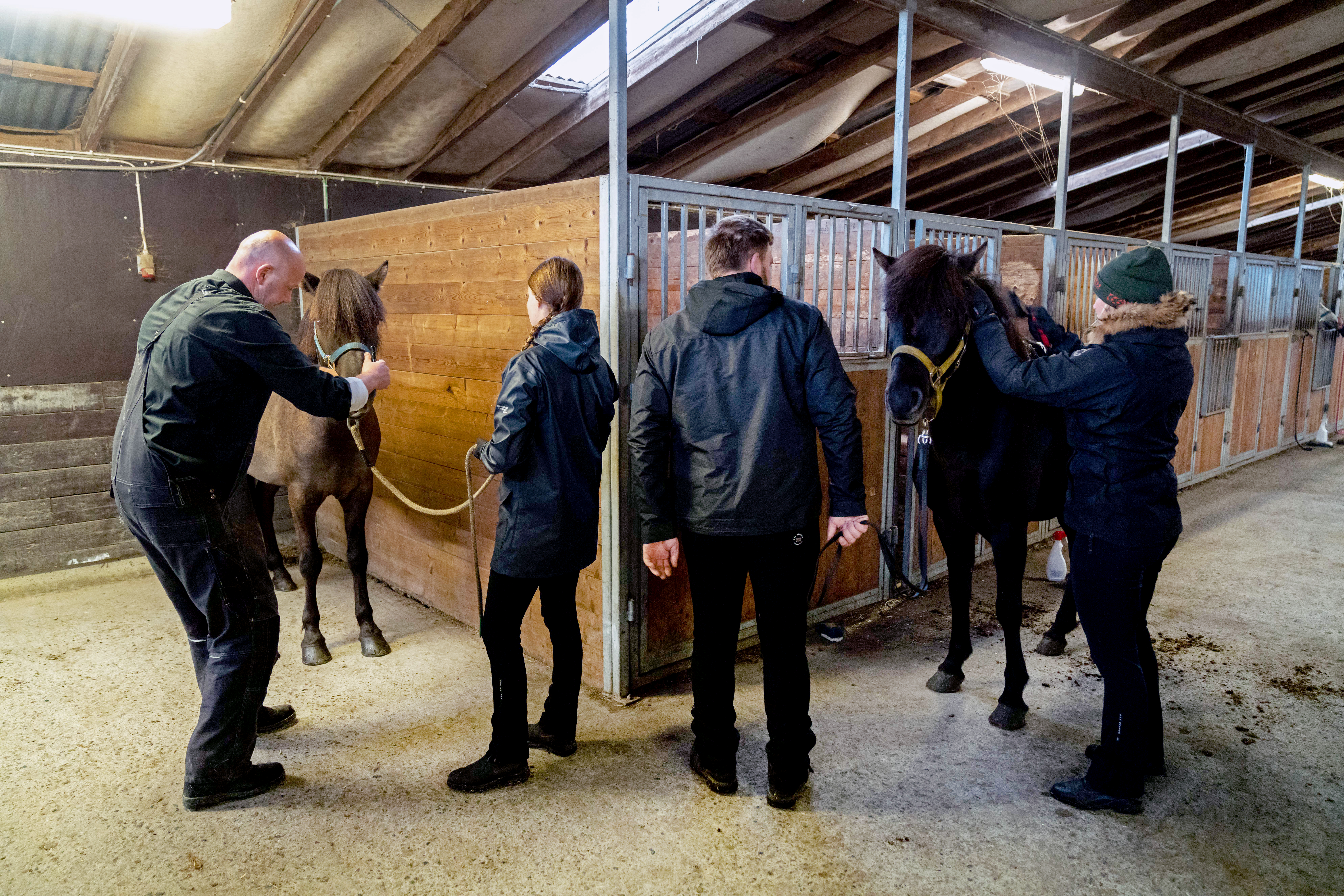 Skráningar á kynbótasýningar vorsins