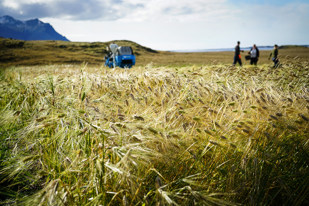 Vörslumenn landsins: Bændur