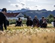 Hveititilraunir eru óplægður akur