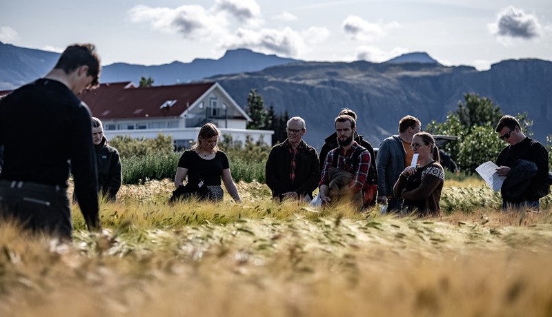 Hveititilraunir eru óplægður akur