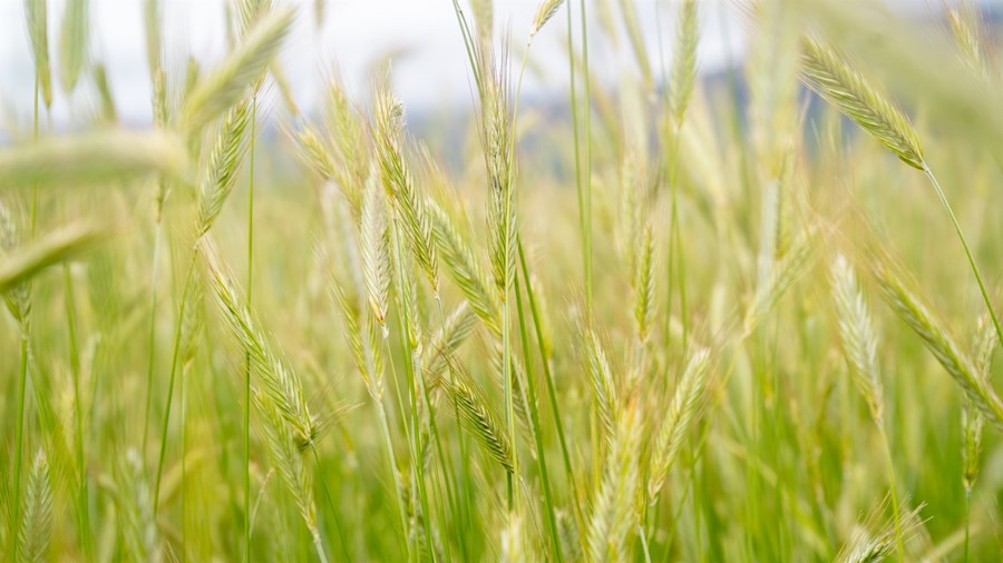 Kerfisbundin notkun eiturefna í landbúnaði kemur niður á heilsu neytenda og gæðum jarðvegs. Vottuð lífræn framleiðsla sannar gildi sitt þar sem sjálfbærni er markmið í sjálfu sér.