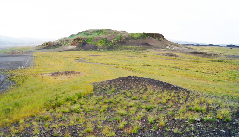 Kjötmjöl – yfirburða áburðarefni til uppgræðslu lands