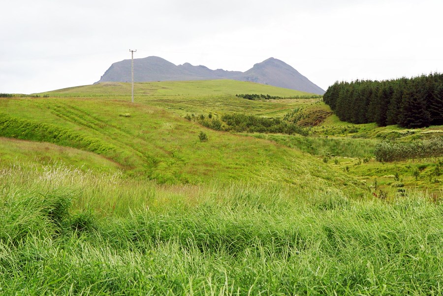 Skógrækt er afturkræf aðgerð í nýtingu lands
