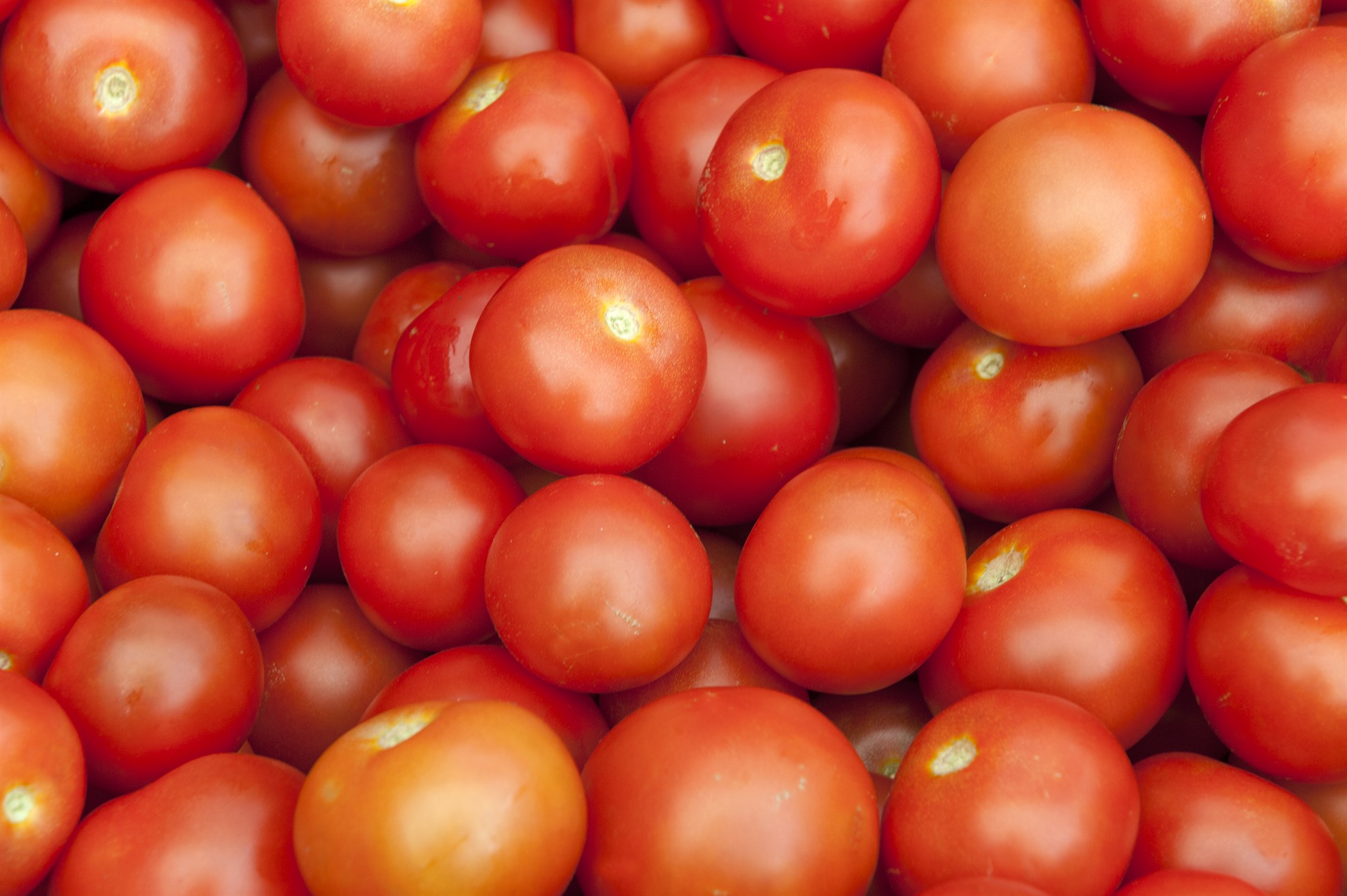 Styrkjum stöðu garðyrkjunnar