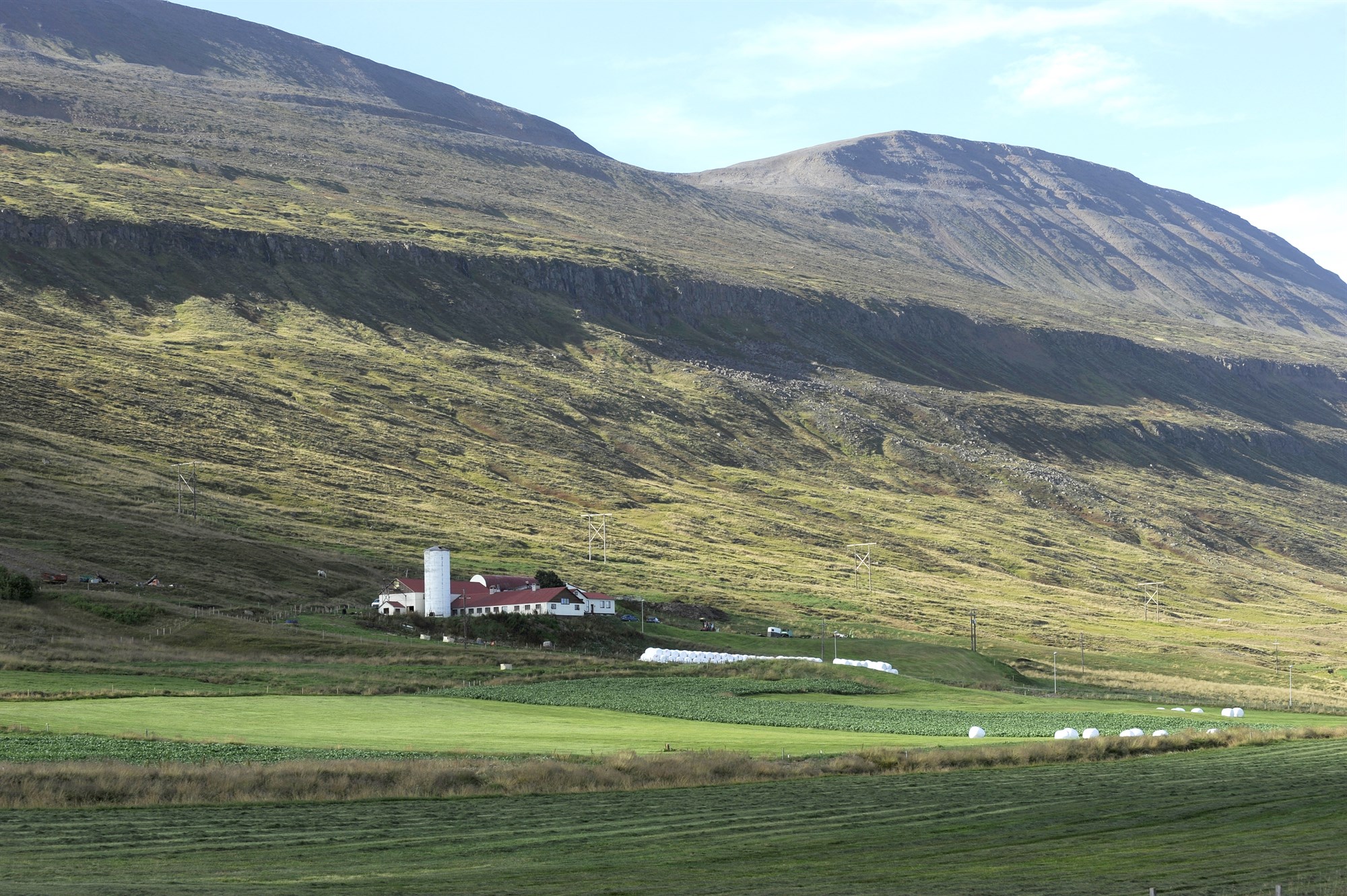 Fæðufullveldi og falsfréttir