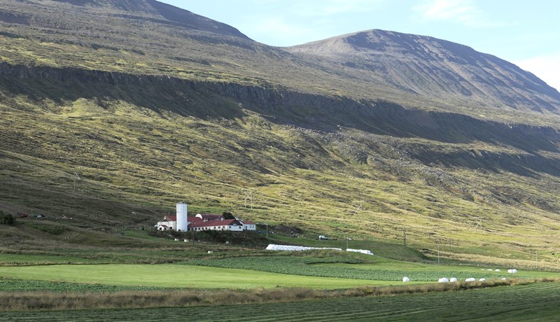 Fæðufullveldi og falsfréttir