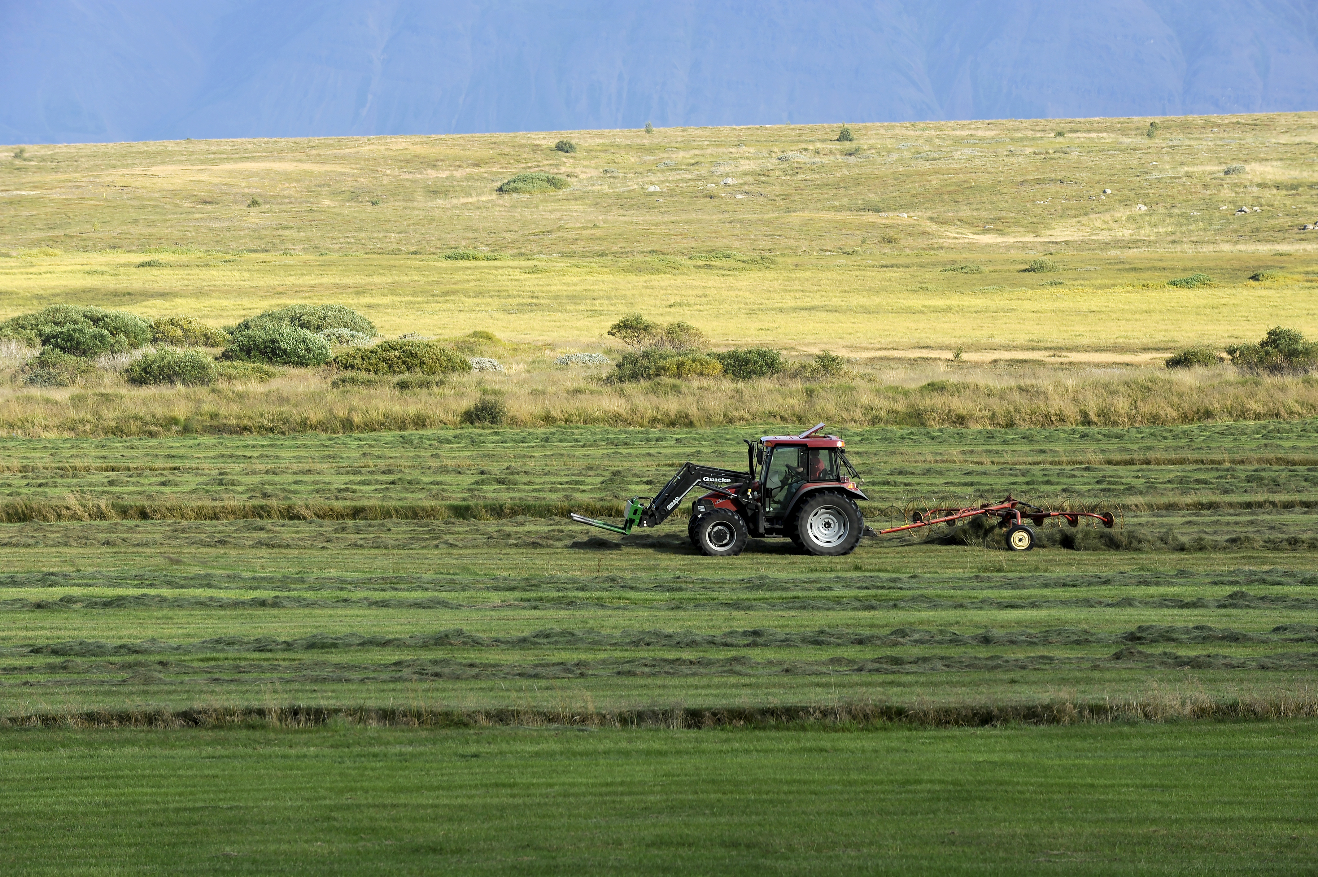 Stöðva þarf jarðasöfnun auðmanna og fjárfestingarfélaga
