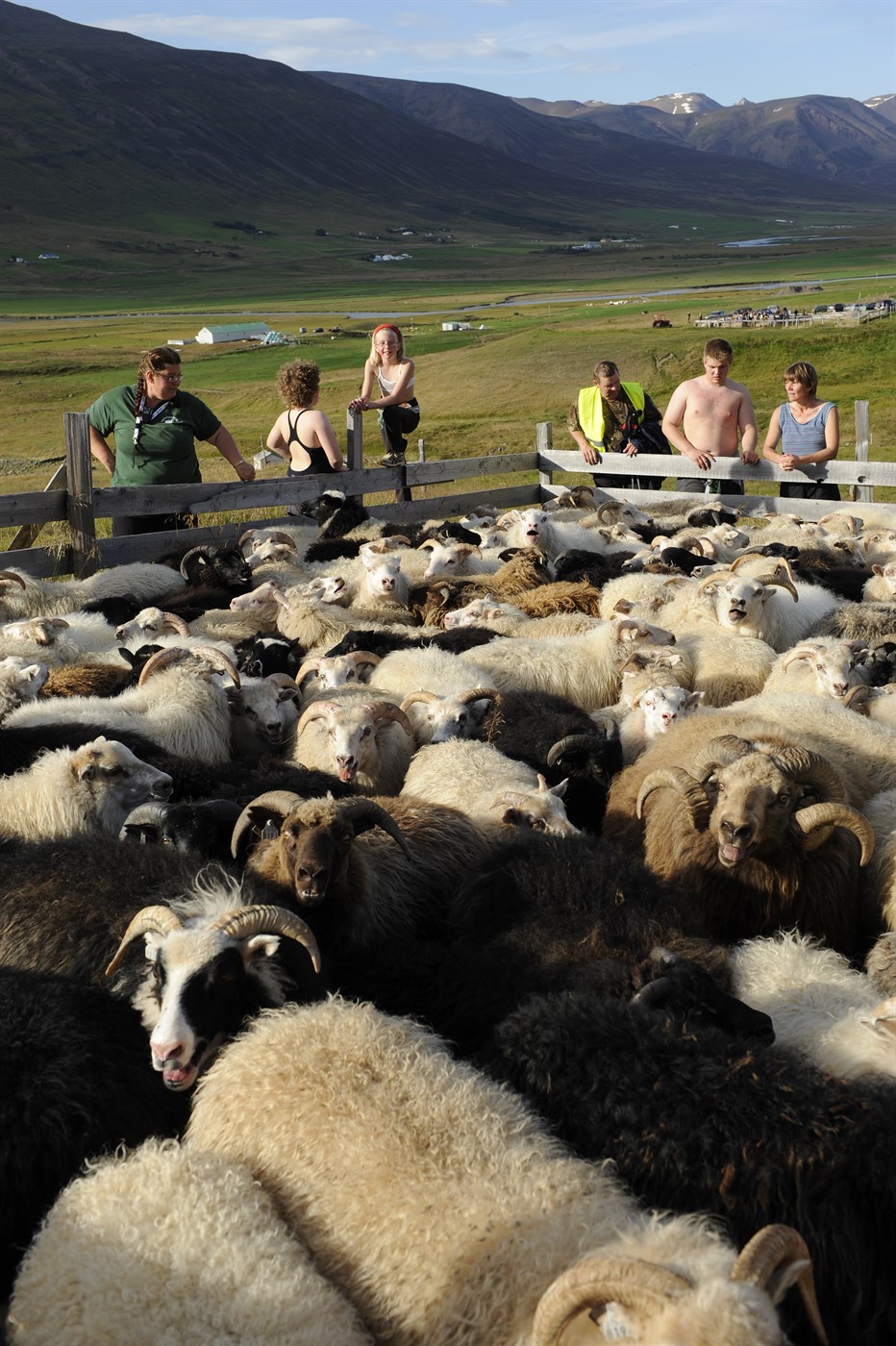 Íslenskur landbúnaður – grunnstoð í íslensku samfélagi