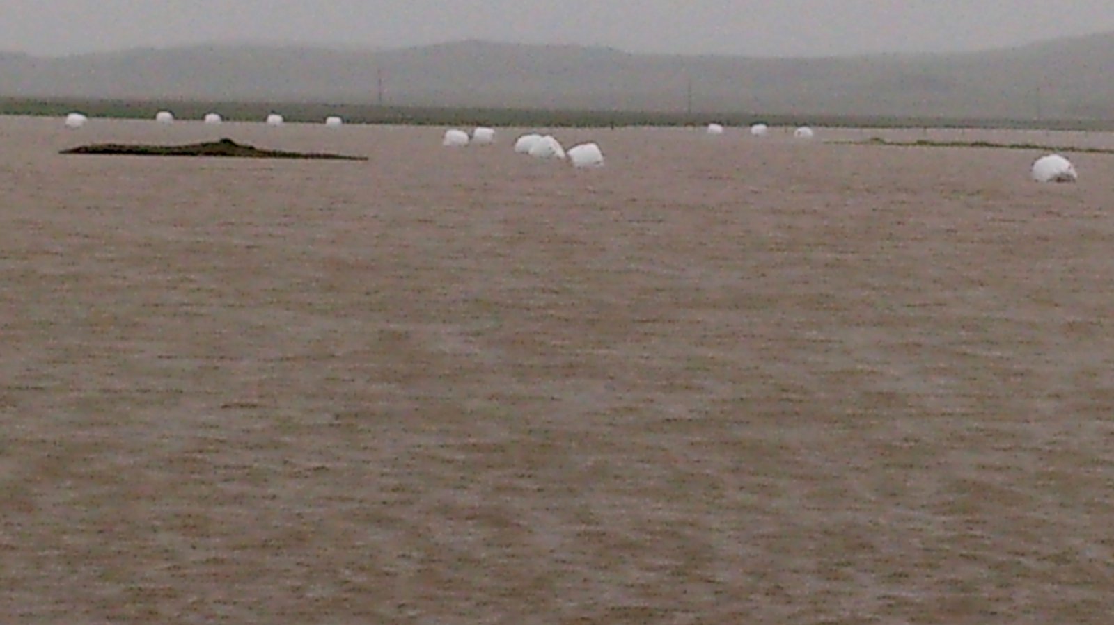 Gríðarleg úrkoma fyrir austan