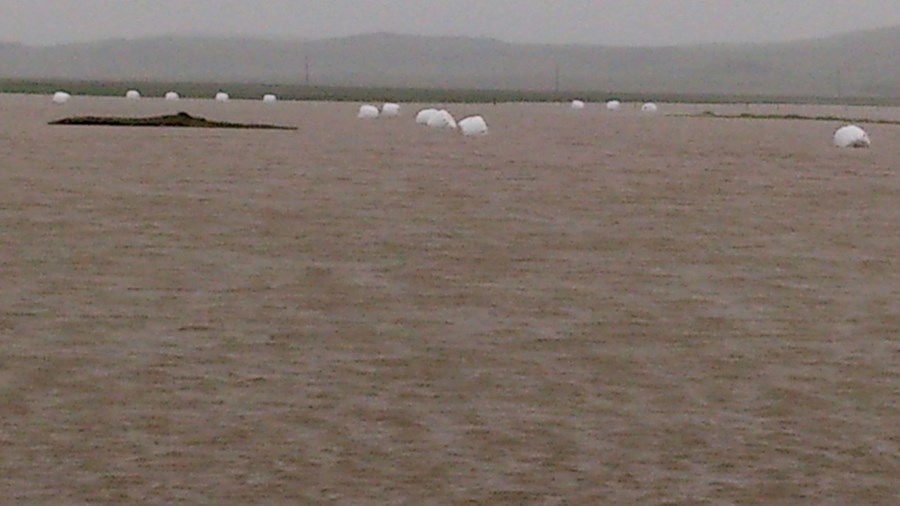 Gríðarleg úrkoma fyrir austan