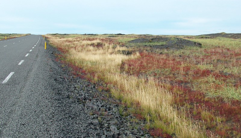Stígum varlega til jarðar - Álag ferðamennsku á náttúru Íslands