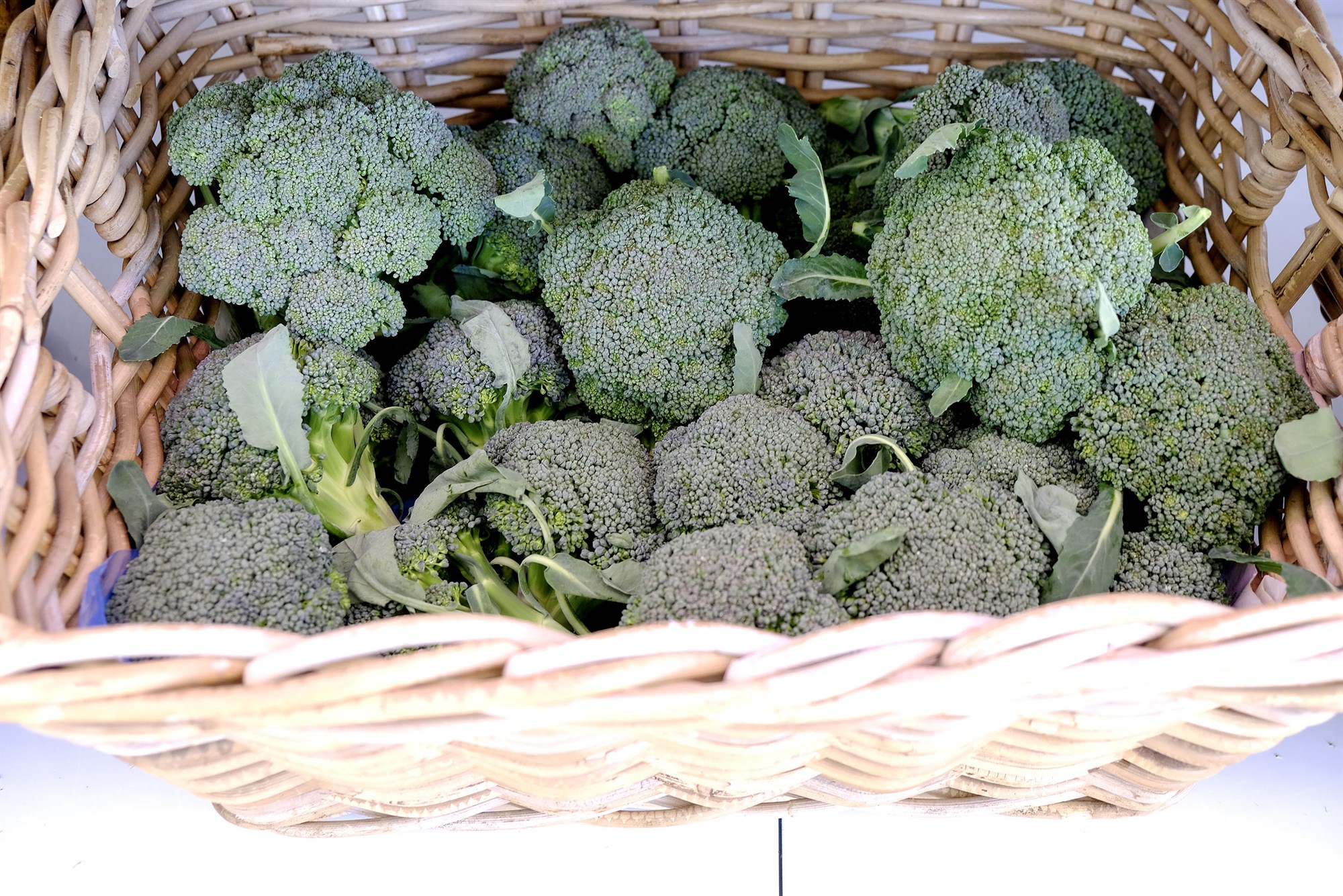 Úrkoman kom í hæfilegum skömmtum