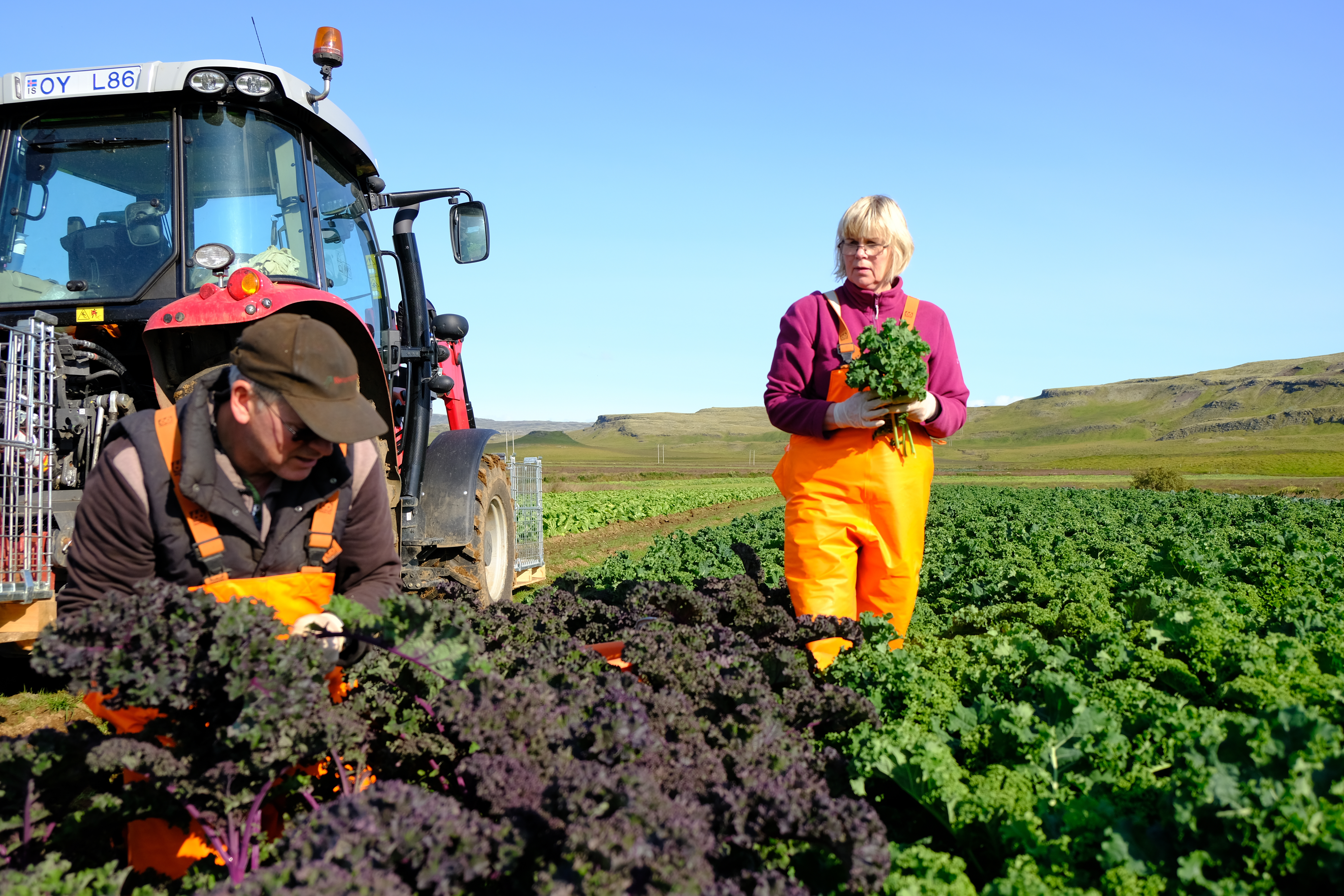 Staðinn verði vörður um stjórnsýslu íslensks landbúnaðar