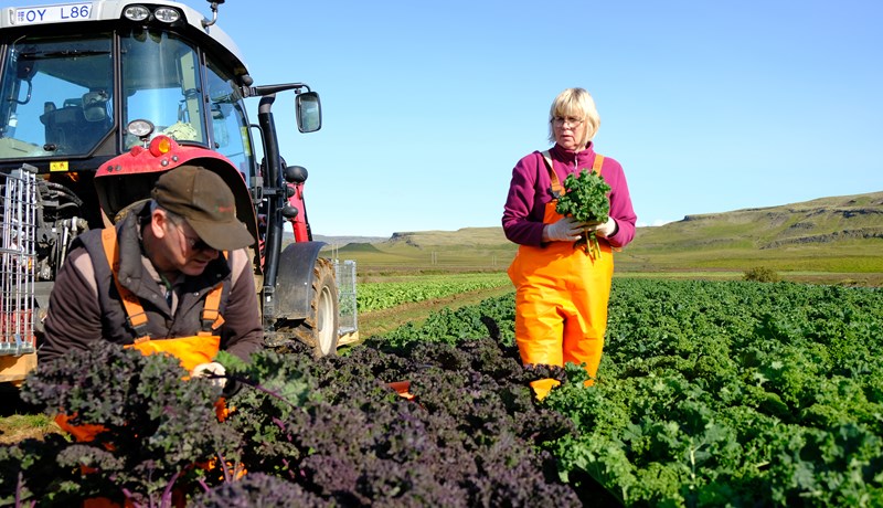 Staðinn verði vörður um stjórnsýslu íslensks landbúnaðar