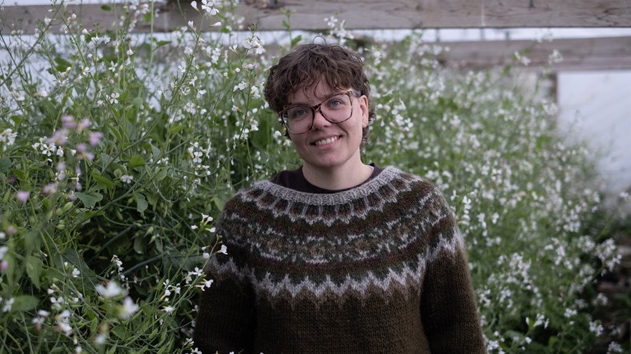 Elínborg Erla Ásgeirsdóttir, garðyrkjubóndi í Breiðargerði í Lýtingsstaðahreppi í Skagafirði og formaður í VOR, félags framleiðenda í lífrænum búskap. Hún er hér umkringd radísublómum sem umbreytast síðan í gómsæta belgi – sem hún notar síðan í vörulínu sína.