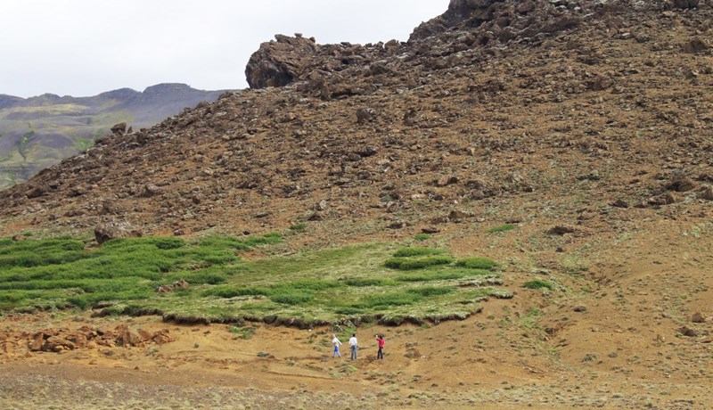 Beit – Ástand landsins skiptir máli