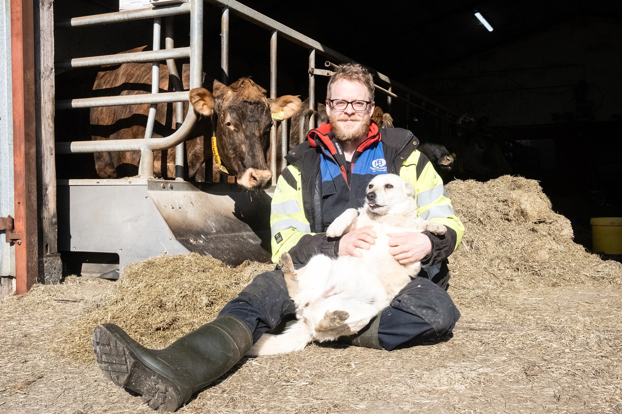 Kjötmjöl notað til áburðar