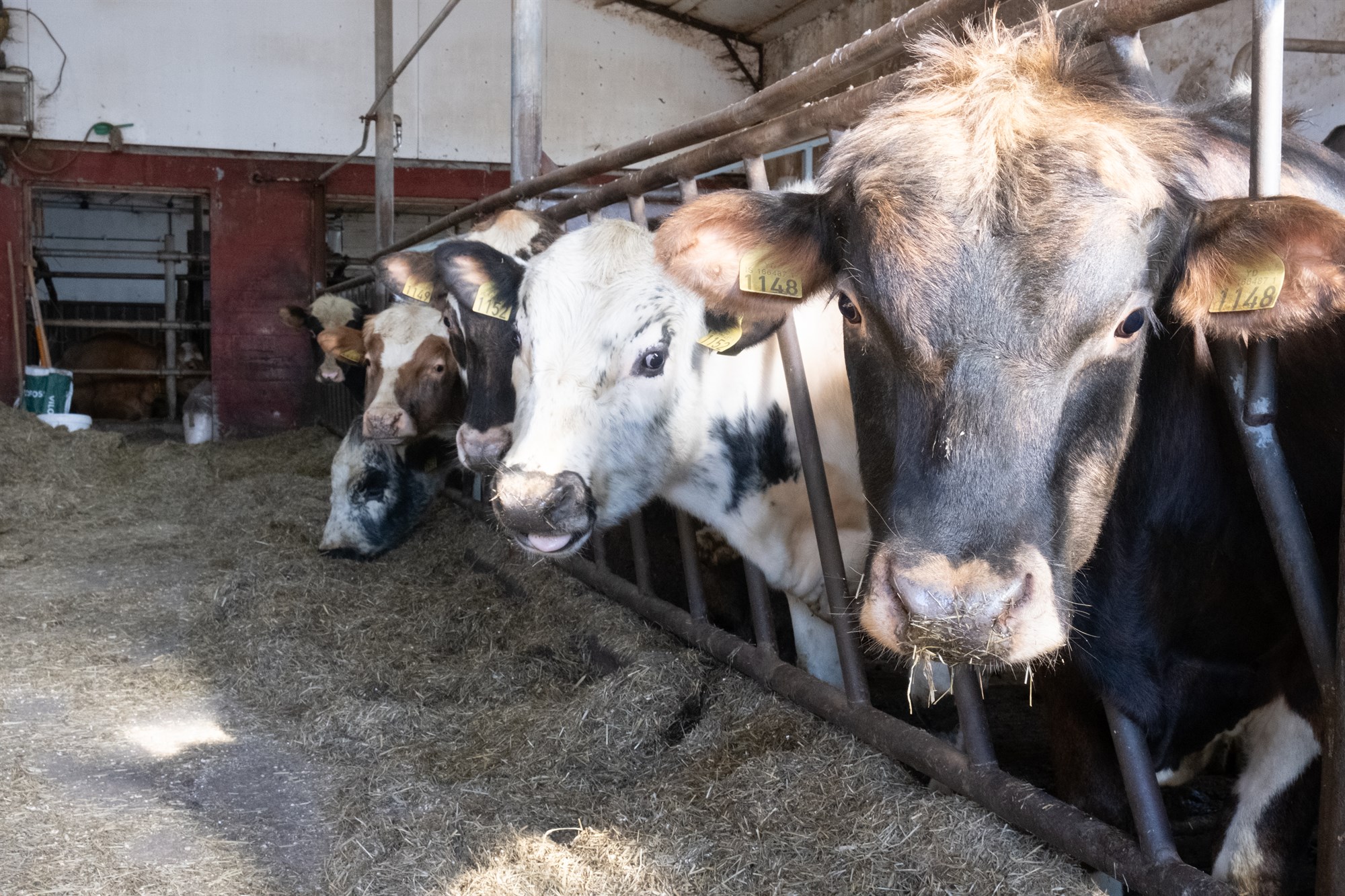 Aðgerðaáætlun staðfest